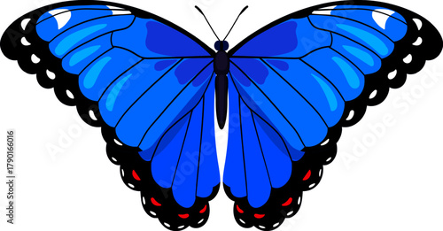 Blue butterfly vector graphic on white background