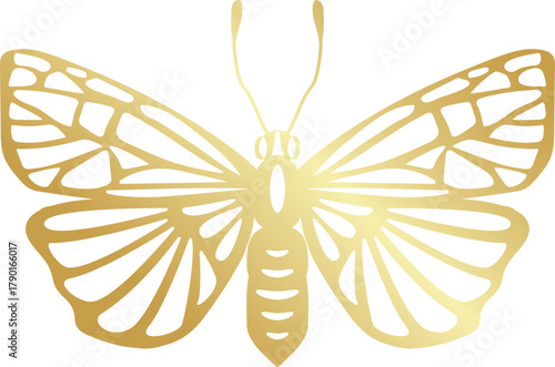 Golden butterfly vector art symbolizing elegance and luxury