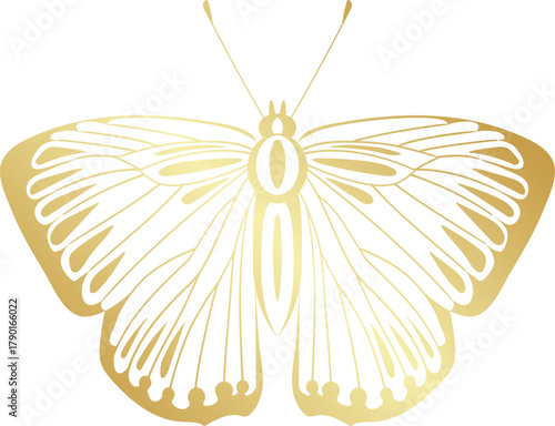 Golden butterfly vector illustration for luxury design