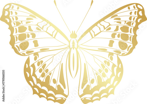 Golden butterfly with decorative wings elegant illustration