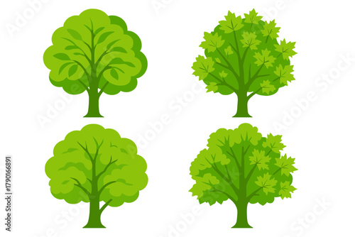 Four stylized green deciduous trees with varied leaf shapes and canopy designs