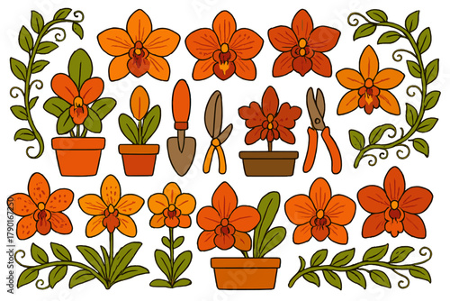 Vibrant orange orchid flowers potted plants and gardening tools collection