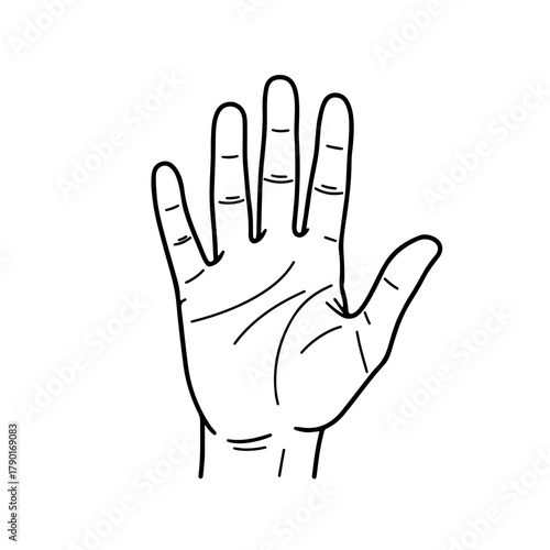 Human hand with visible detail lines drawn in expressive anatomical contour styled as refined microstock vector artwork