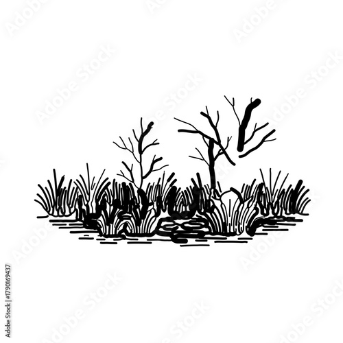 Dense swamp with grasses and water reflections depicted in naturalistic outline vector landscape style