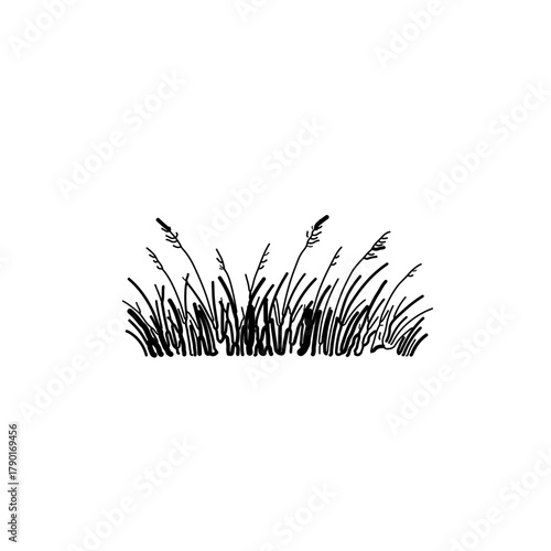 Bushy grass cluster landscape element in minimal black line vector style for gardening, meadow, and natural scenes