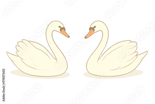 Two white swans facing each other forming a heart shape with necks