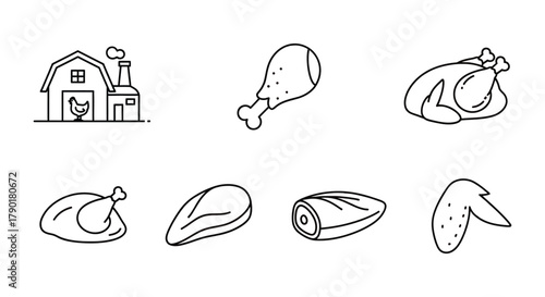 Chicken farm and chicken parts illustration vector design