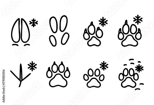 Different animal footprints are arranged in a grid, illustrating the shapes of hooves, paws, and claws. These marks highlight the diversity of wildlife and tracking techniques.