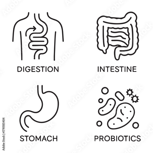 Digestion, intestine, stomach, and probiotics icon vector