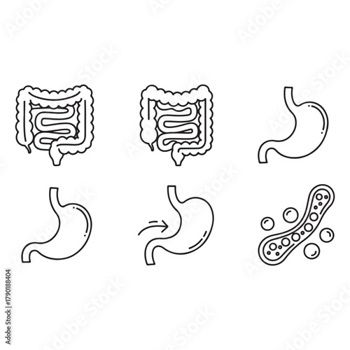 Digestion, intestine, stomach, and probiotics icon vector