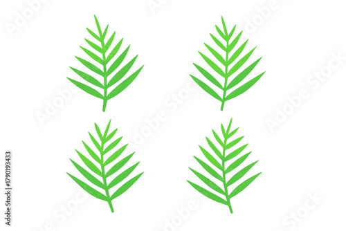 Four vibrant green palm fronds isolated on a clean white background