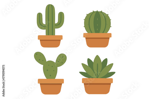 Collection of four potted desert plants including various cacti and succulents