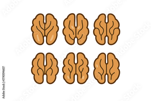 Stylized walnut halves icons representing healthy eating and nutrition concepts
