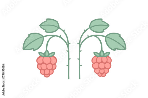 Symmetrical raspberry plant stems with ripe berries and green leaves