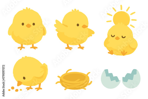 Adorable baby chicks resting in a nest with cracked eggshell