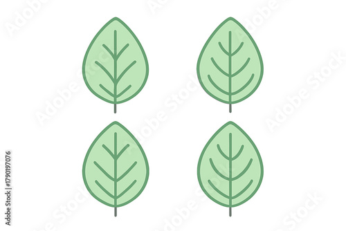 Four simple green oval leaves featuring distinct central vein patterns