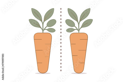 Symmetrical pair of orange carrots with green leafy tops