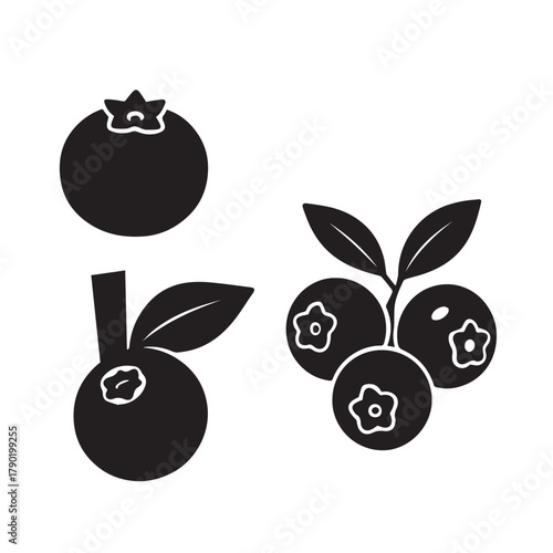 Fresh Blueberry Isolated on White Background