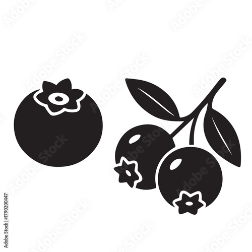 Fresh Blueberry Isolated on White Background