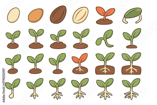 Seed germination and plant growth stages icons set
