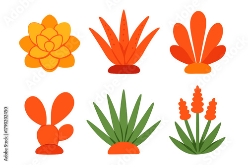 Stylized desert succulents and cacti in warm color palette
