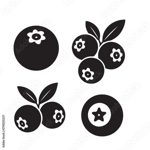 Fresh Blueberry Isolated on White Background