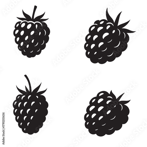 Fresh Blackberries Isolated on White Background