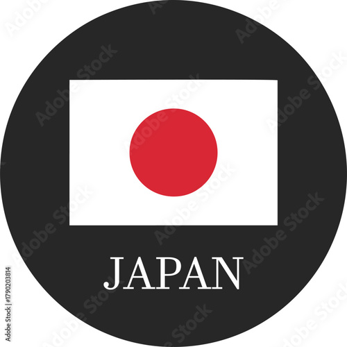 south korea flag button isolated