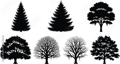 Tree silhouette vector illustration, black forest outline shapes, coniferous and deciduous design, seasonal foliage artwork, natural eco landscape graphic art