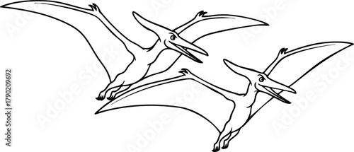 Pterodactyls Flying in Formation Prehistoric Avian Line Art