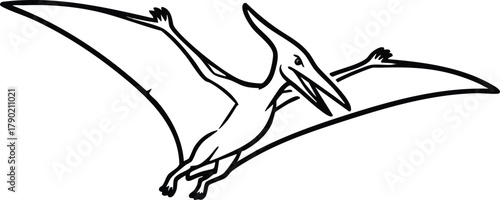 Pterodactyl's Flight Prehistoric Elegance in Minimalist Line Art