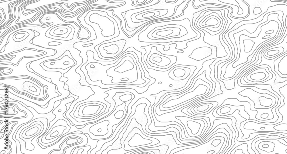 Fototapeta premium Abstract pattern with lines White wave paper curved reliefs abstract background, Abstract topographic contours map background. 