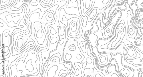 Topography background. Vector banner.  Vector geographic contour map. Background of the topographic map. Topographic map lines, contour background. 