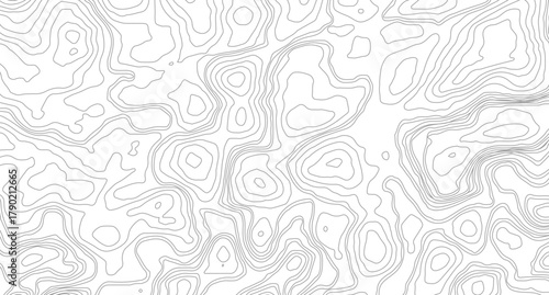 Abstract pattern with lines White wave paper curved reliefs abstract background, Abstract topographic contours map background. 
