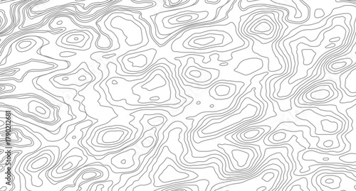Abstract pattern with lines White wave paper curved reliefs abstract background, Abstract topographic contours map background. 