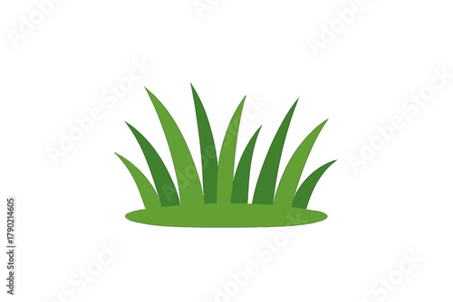 Εκτύπωση καμβά Vibrant fresh green grass clump growing from the soil isolated on a clean white