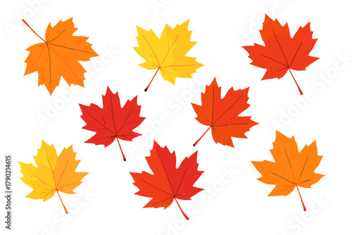 Seamless pattern of vibrant autumn maple leaves scattered on a white background