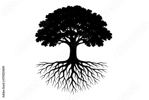 Black silhouette of a large mature tree with dense canopy and extensive root system