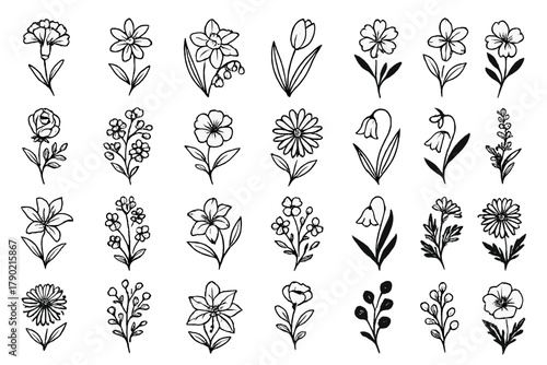 Simple black outline set of blooming garden flowers and decorative floral icons