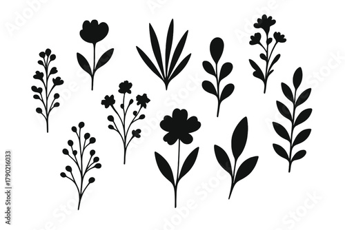 Decorative monochrome floral and foliage silhouettes assortment for nature design