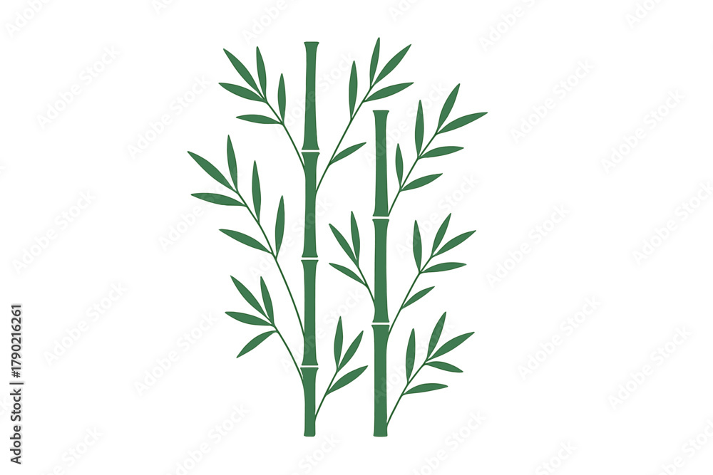 Fototapeta premium Stylized green bamboo stalks with lush leaves isolated on a white background