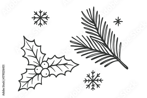 Hand drawn Christmas elements set with holly berries pine branch and snowflakes