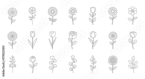 Collection of minimalist floral line art illustrations for spring design elements and decor projects