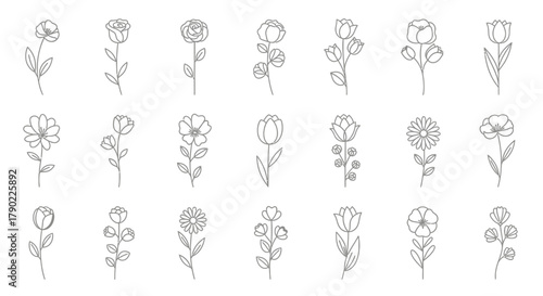 Minimalistic flower icon set with assorted floral designs offering a touch of elegance and