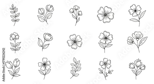 Elegant botanical drawings showcasing diverse floral designs in minimalist style for creative