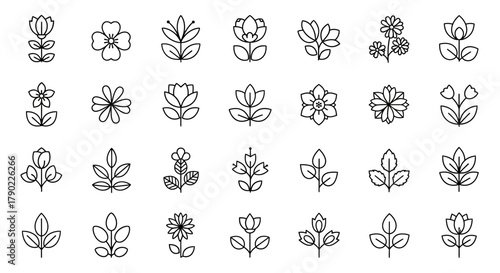 Collection of minimal floral and plant elements for decorative design, black outline botanical