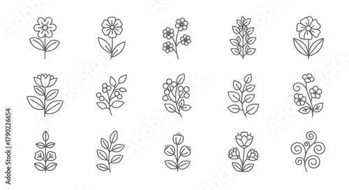 Minimalist floral line art collection showcasing diverse botanical elements in elegant simplicity