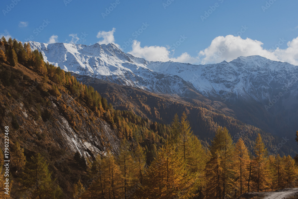 Fototapeta premium Snow-Capped Mountains and Yellow Autumn Forest in the Alps