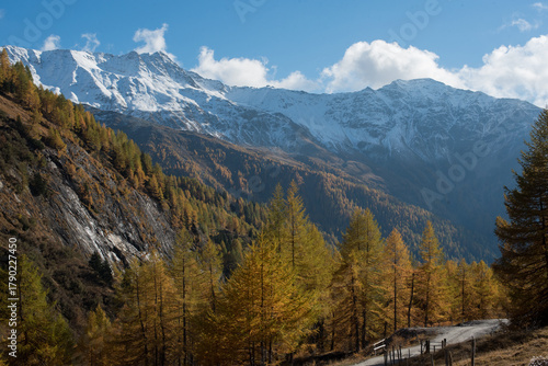 Mountain Hiking Trail in the Autumn Alps