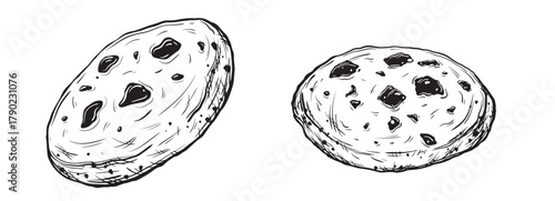 Sketch of Chocolate chip cookies. Hand-drawn ink vector illustration of a oatmeal cookies, with linear graphic elements for food design, isolated on white background.
